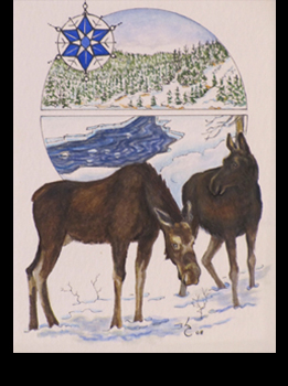 Winter Moose Winter_Moose.jpg